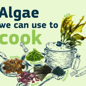 Algae we can use to cook