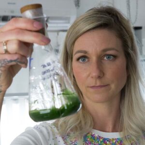 Kirstin Knufmann - Forschung und Entwicklung - Algen