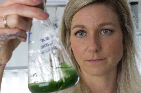 Kirstin Knufmann - Forschung und Entwicklung - Algen