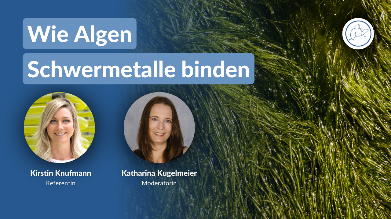 Entgiftungs-Kongress 2026